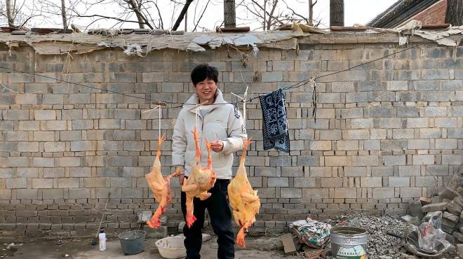 [图]老妈过年杀了三只鸡，准备大鱼大肉过个肥年，小飞越听心里越得劲