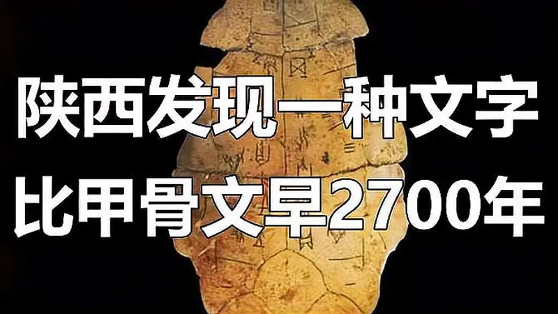 陕西发现特殊文字 比甲骨文早2700年 中国有六千年文字史 文化 考古 好看视频