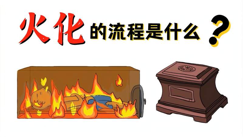 火化是一种什么体验?人真的会被烧成灰烬吗?,科学,科普,好看视频