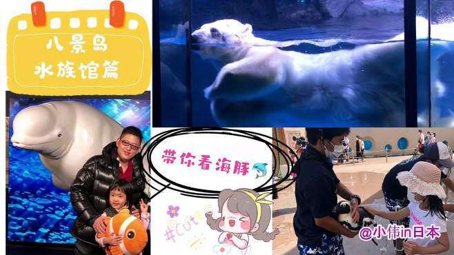 [图]美丽的日本八景岛水族馆