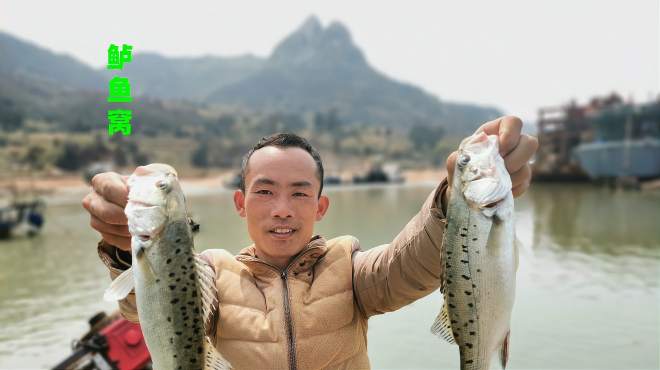 阿呆赶海