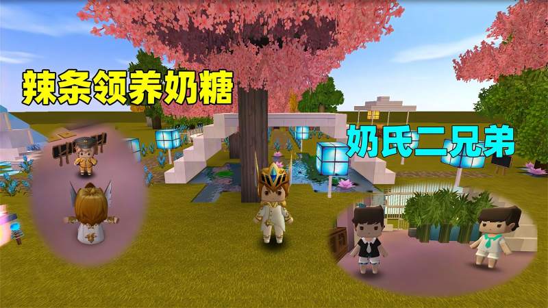 迷你世界辣条和小王子去领养奶糖回来发现跟奶瓶是双胞胎