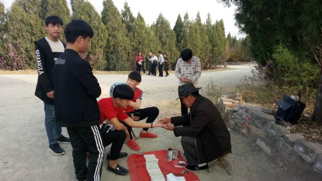 「青未了」馬學民|鉅野核桃園遊記