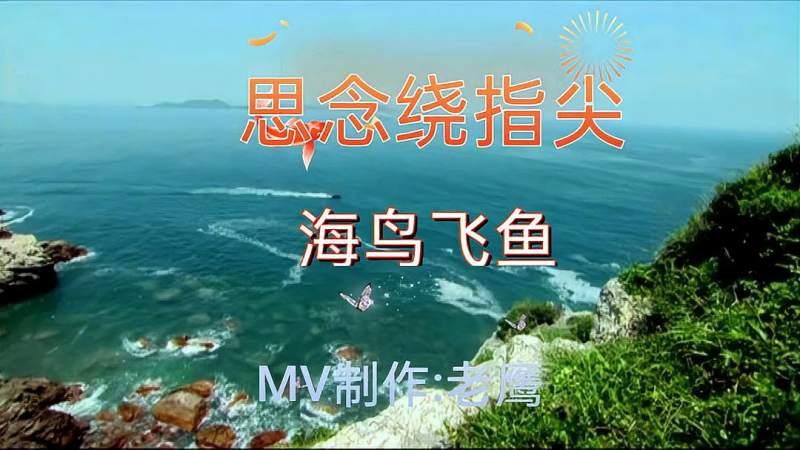 思念绕指尖海鸟飞鱼