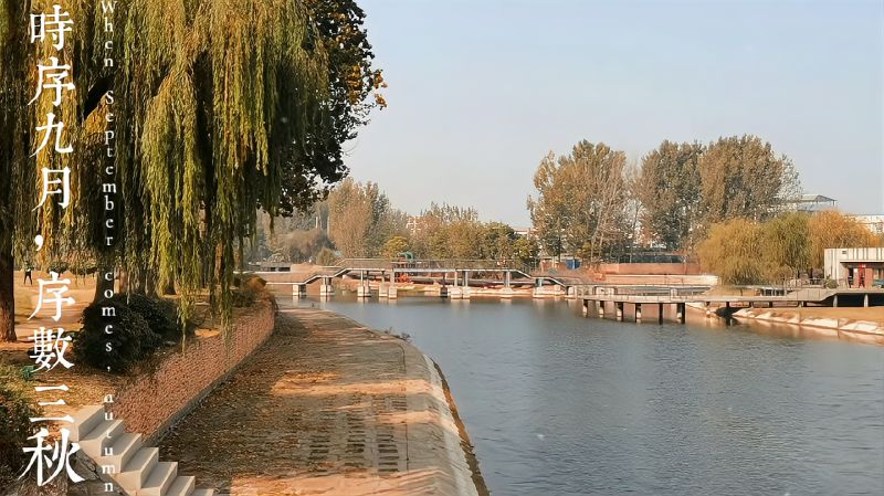 「随手拍秋天」立冬时节,走进胶州二里河公园,旅游,旅途风光,好看视频