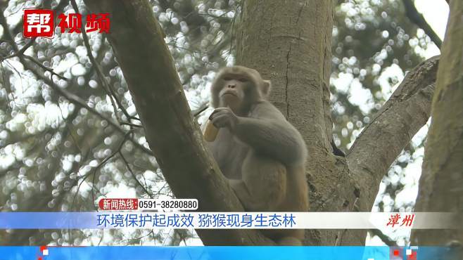 [图]耍呆卖萌还蹭吃蹭喝！这位“特殊客人”，却受到村民热情招待