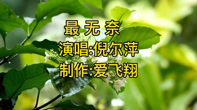 [图]倪尔萍一首《最无奈》曾经以为相爱就相爱，哪里想到徒留感慨