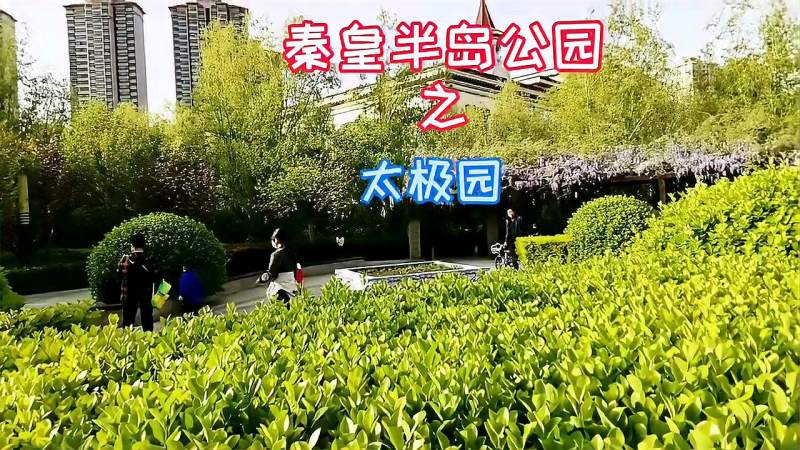 秦皇岛半岛公园系列