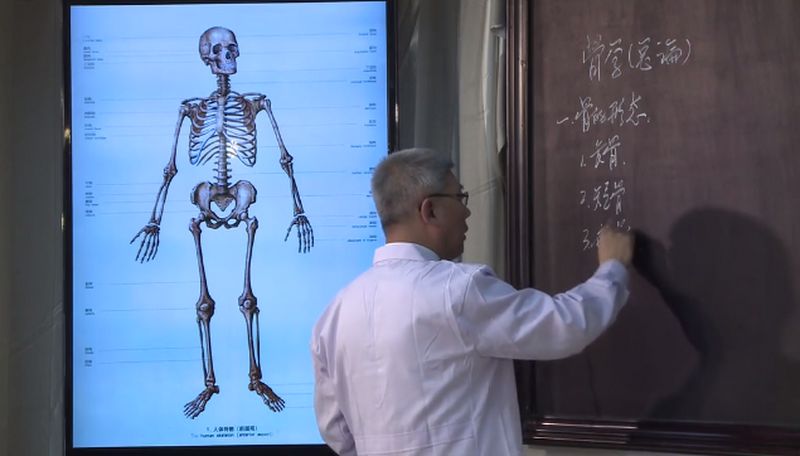 中国医科大学霍琨老师手绘人体解剖学系统解剖学