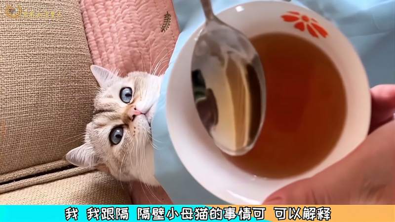 驴:当初在生产队也没遭过这种罪!,搞笑,恶搞整蛊,好看视频