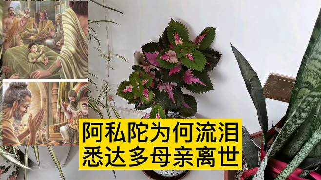 [图]神话讲佛陀故事第二集，王子上学了