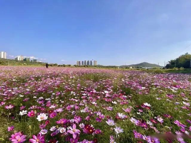 台山頤和溫泉,溫泉中的