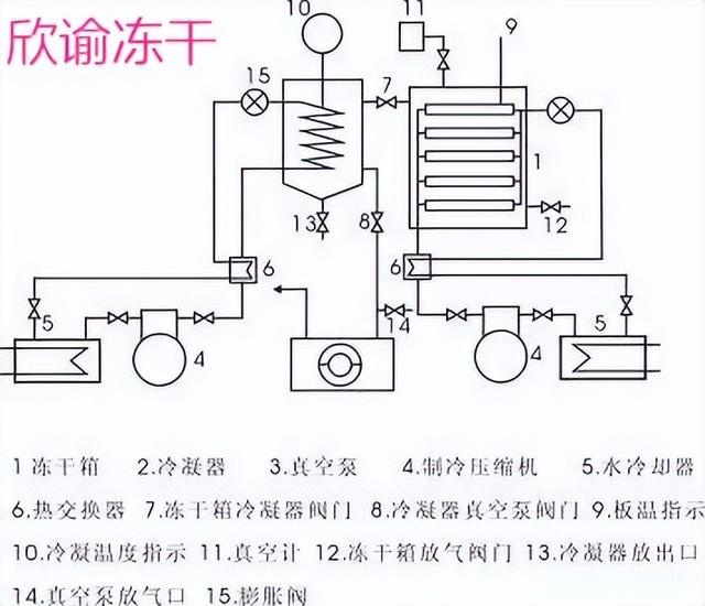 影响真空冷冻干燥机干燥速率的因素分析