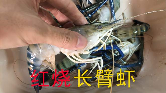 红烧长臂虾,既然在家也能做出饭店的味道,香辣够味,一碗不够吃