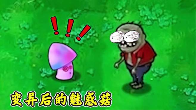 pvz:当小鬼僵尸吃上变异魅惑菇,会发生什么呢?真意外!