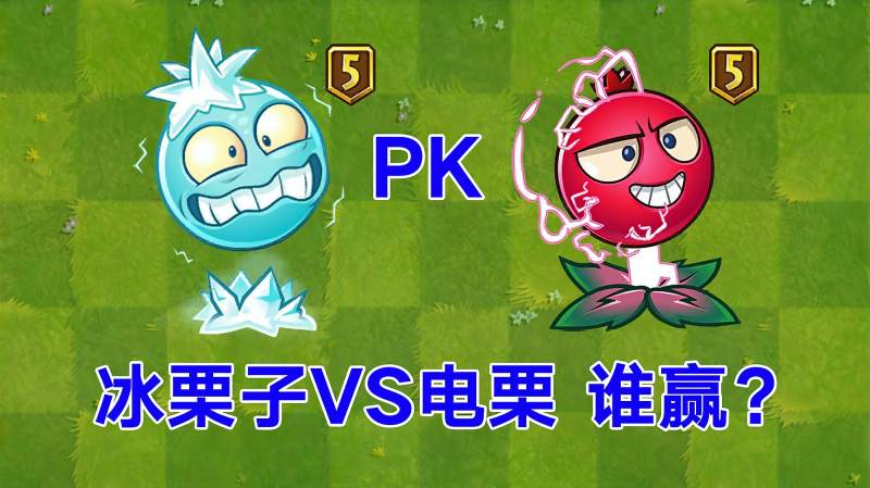 pvz2寒冰醋栗pk电流醋栗谁才是栗王