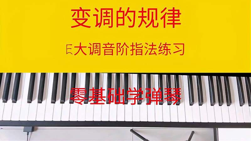 140变调的规律e大调音阶指法练习零基础学弹琴