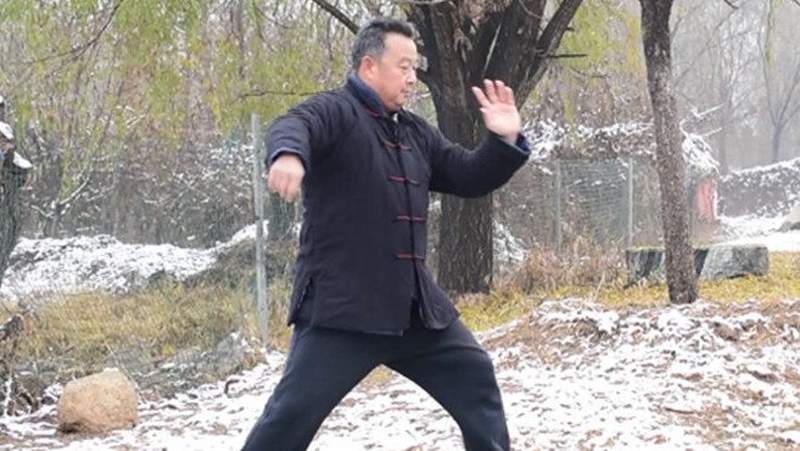 庞恒国老师雪中打太极,这动作太漂亮了,体育,武术,好看视频