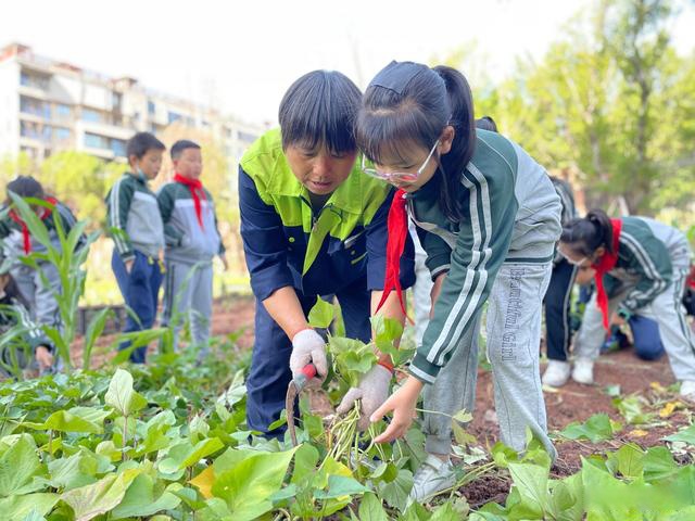 小学生劳动课图片图片