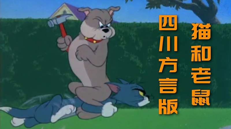 四川方言版猫和老鼠可怜的莽哥他只是想有个属于自己的狗窝