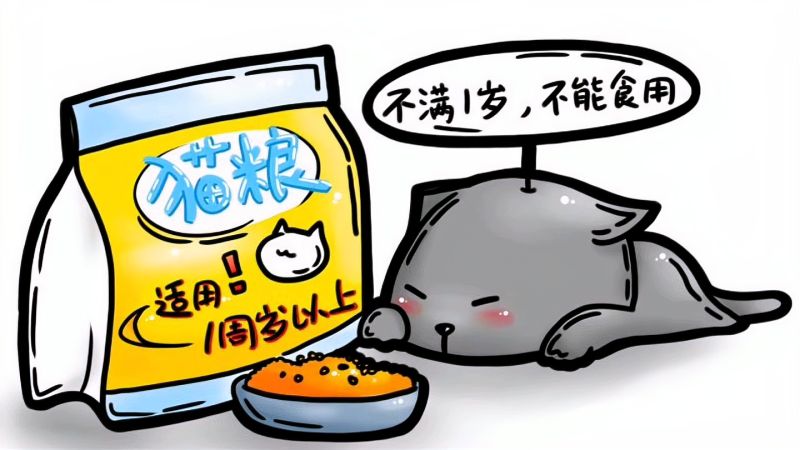 猫什么时候才算“成年”呢?