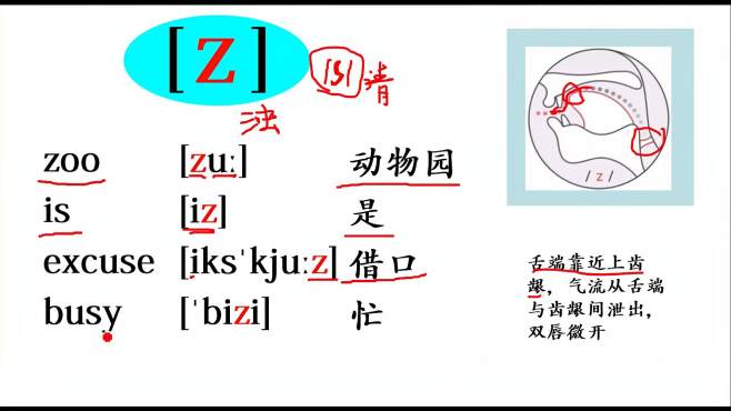 [图]英语音标/z/的标准发音，学好口语先从发音开始，赶紧学！