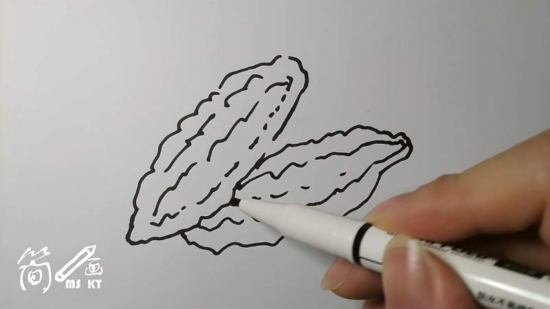 简笔画两个大苦瓜