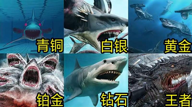 如果变异鲨鱼有段位青铜到王者你见过八爪鲨和陆行鲨吗