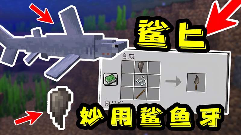 我的世界:鲨鱼牙齿能做鲨匕?还能骑乘棕熊 巨蜥!超强动物模组,游戏,沙盒游戏,好看视频