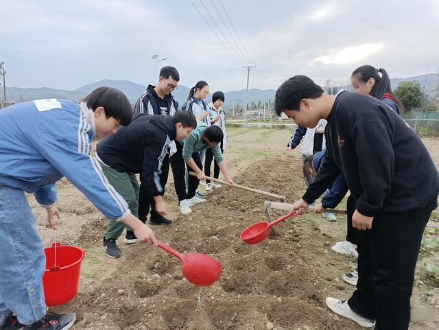 湖南省平江县第十中学图片