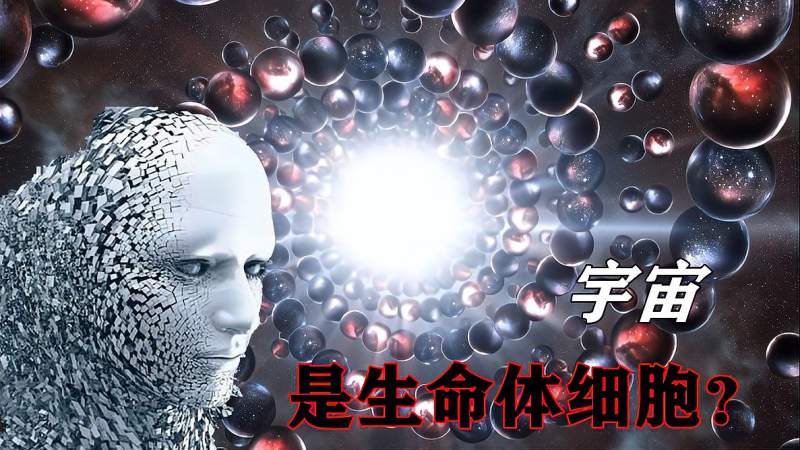 宇宙可能是一个巨大生命体，而宇宙万物难道是它的细胞和微生物？,科学,太空探索,好看视频