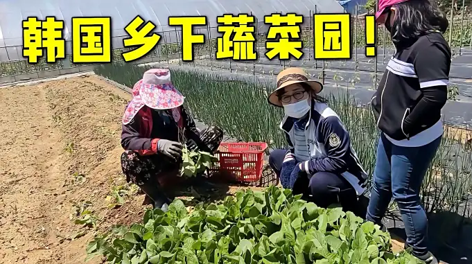 韩国新房又交7000万韩元 玉涵偷偷准备00万 能渡过难关么 母婴育儿 孕产 好看视频 韩国新房又交7000万韩元 玉涵偷偷准备00万 能渡过难关么 母婴育儿 孕产 好看视频