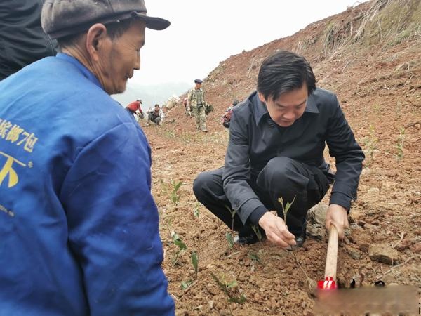 卢向荣调研茗瑞公司茶园基地建设情况