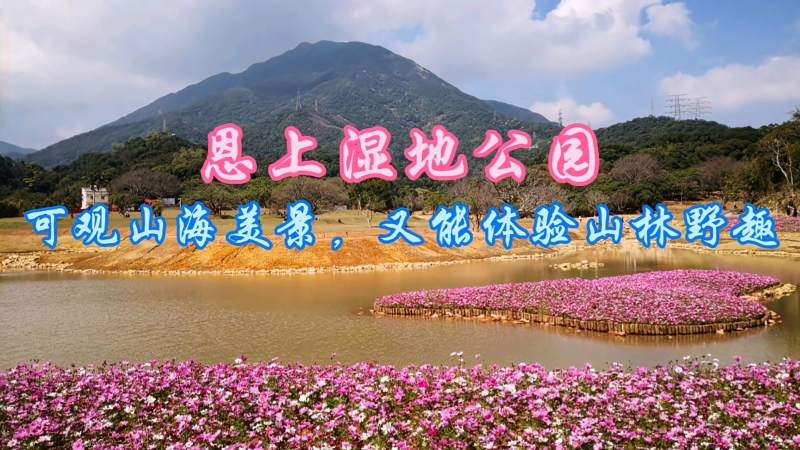 深圳恩上湿地公园可观山海美景又能体验山林野趣景美人少