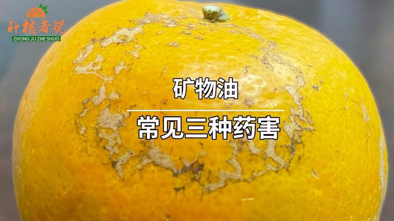 使用矿物油有哪些药害如何避免