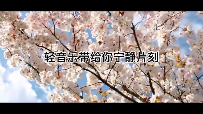 [图]安眠曲系列，片刻宁静，感受轻音乐的世界