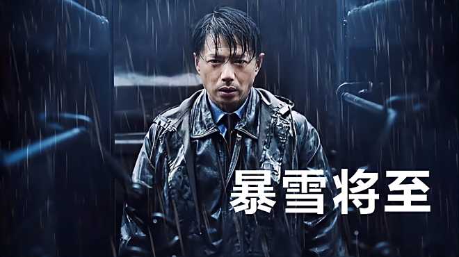 2017年最硬国产犯罪片,追凶者十年追凶,越看越沉思