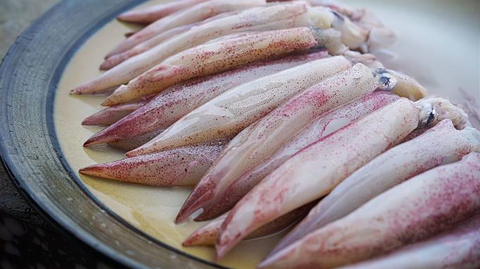 e4ff9b282bfb9d079f130bbb10554620.jpeg@s_2,w_681,h_381,q_100