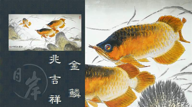 吉祥金龙鱼国画欣赏国家一级美术师刘凯焰作品金鳞兆吉祥