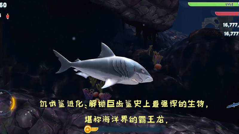 饥饿鲨进化解锁巨齿鲨史上最强悍的生物堪称海洋界的霸王龙