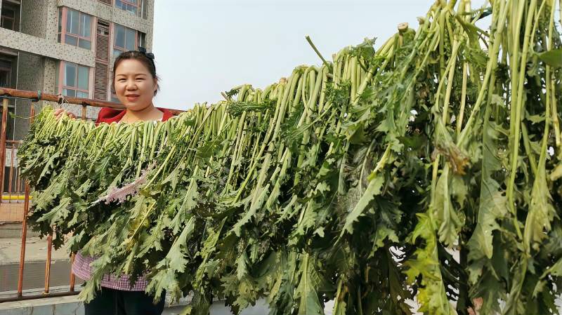 梅菜,又称梅干菜,三蒸三晒才正宗,做梅菜扣肉真香