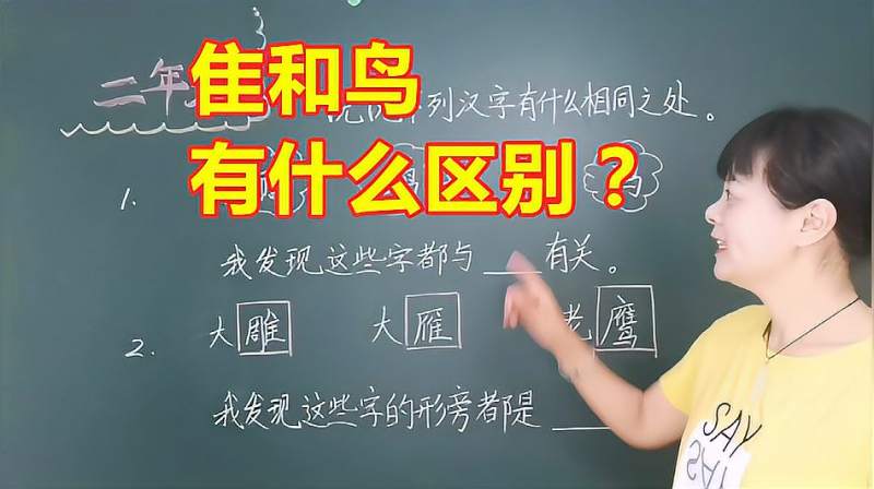 隹和鸟有什么区别?芳芳老师用一道题,讲清它俩的关系