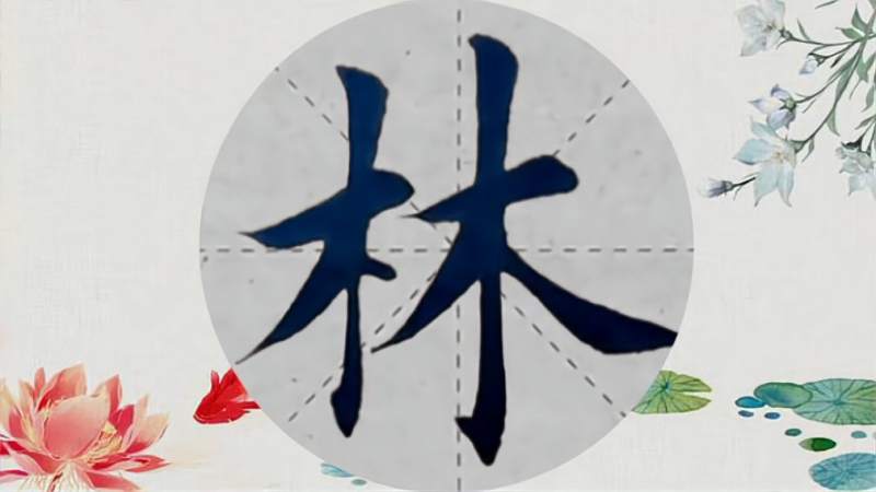毛笔字楷书“透林”两个字书法练习,文化,艺术,好看视频