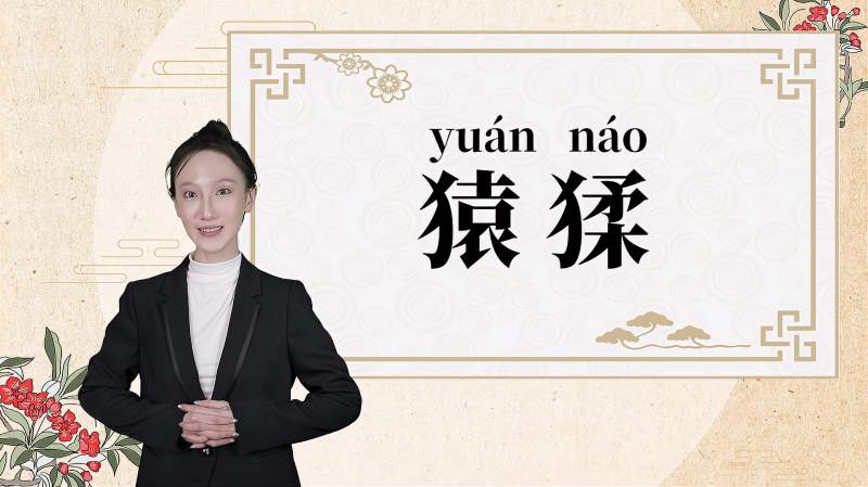 快速了解词语“猿猱”的读音、释义等知识点,教育,在线教育,好看视频