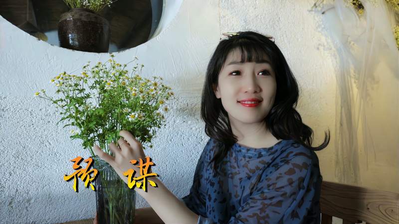 许佳慧经典伤感情歌《预谋》,初闻不知曲中意,再闻已是曲中人!,音乐,流行音乐,好看视频