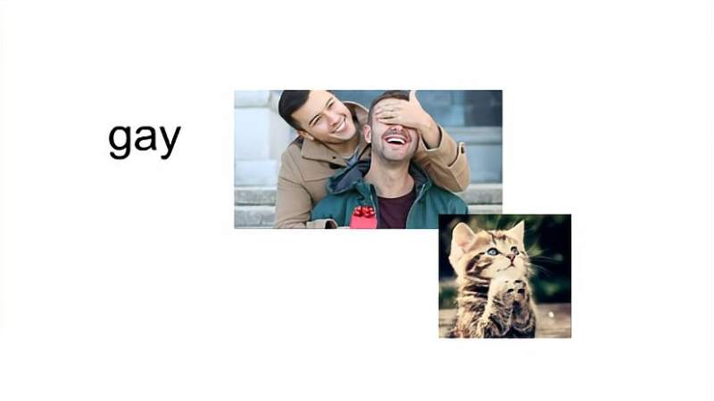 壮观的homo是什么意思的视图