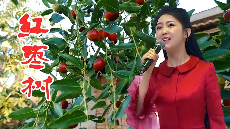 任妙音原唱家乡的红枣树歌声甜美却勾起游子思乡情