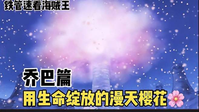 海贼王感人五大瞬间,庸医用生命降下了粉红色的雪