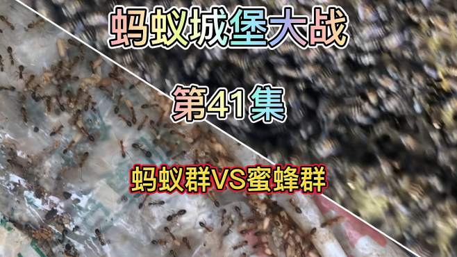 蚂蚁城堡大战 好看视频 蚂蚁城堡大战 好看视频