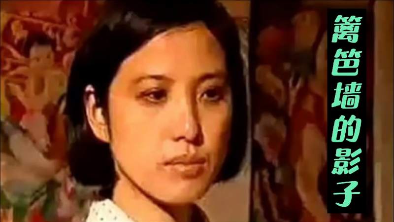 电视剧篱笆女人狗片头曲篱笆墙的影子演唱毛阿敏